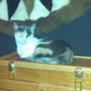 Meet your Posher, Clint